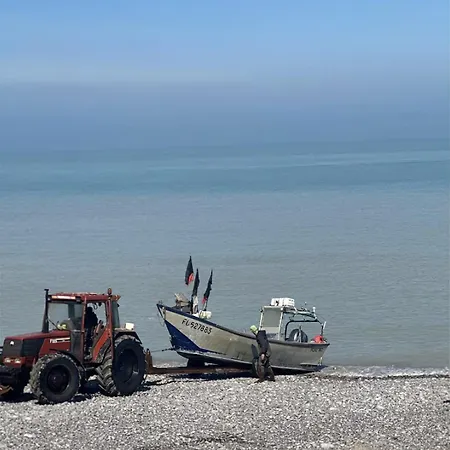 New, Cocoon Cotier, Port View * Saint-Valery-en-Caux